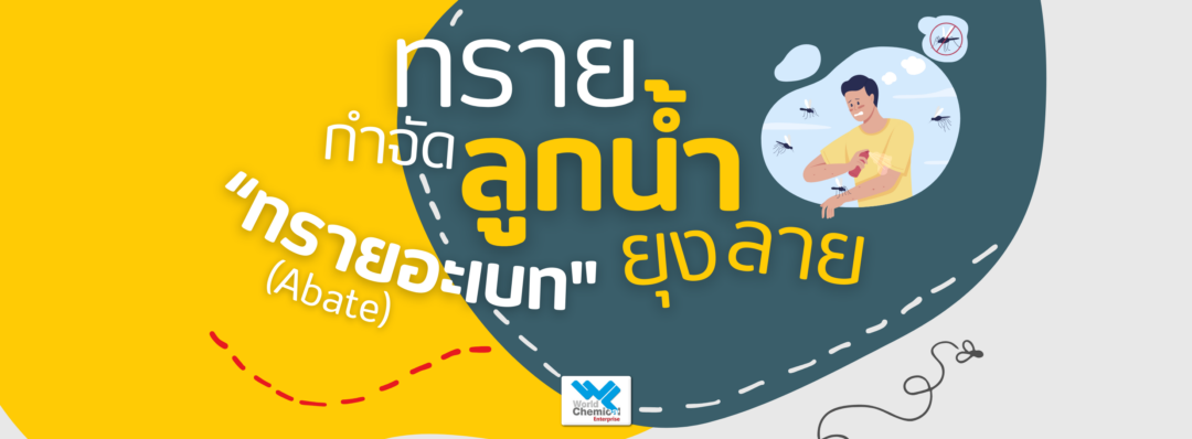 ทรายอะเบท,กันยุง,เวิลด์เคมีคอลเอ็นเตอร์ไพร์ส,เคมีภัณฑ์ลำพูน,จำหน่ายเคมีภัณฑ์ครบวงจร,เคมีภัณฑ์ใกล้ฉัน,เคมีภัณฑ์ราคาถูก,เคมีภัณฑ์ลำพูน,ขายส่งเคมีภัณฑ์,เคมีภัณฑ์ภาคเหนือ,เคมีลำพูน
