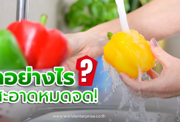 ล้างผักอย่างไร ให้สะอาดหมดจด!