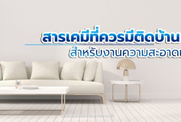 สารเคมีที่ควรมีติดบ้านสำหรับงานทำความสะอาดและฆ่าเชื้อ สารเคมีที่ควรมีติดบ้านสำหรับงานทำความสะอาดและฆ่าเชื้อ