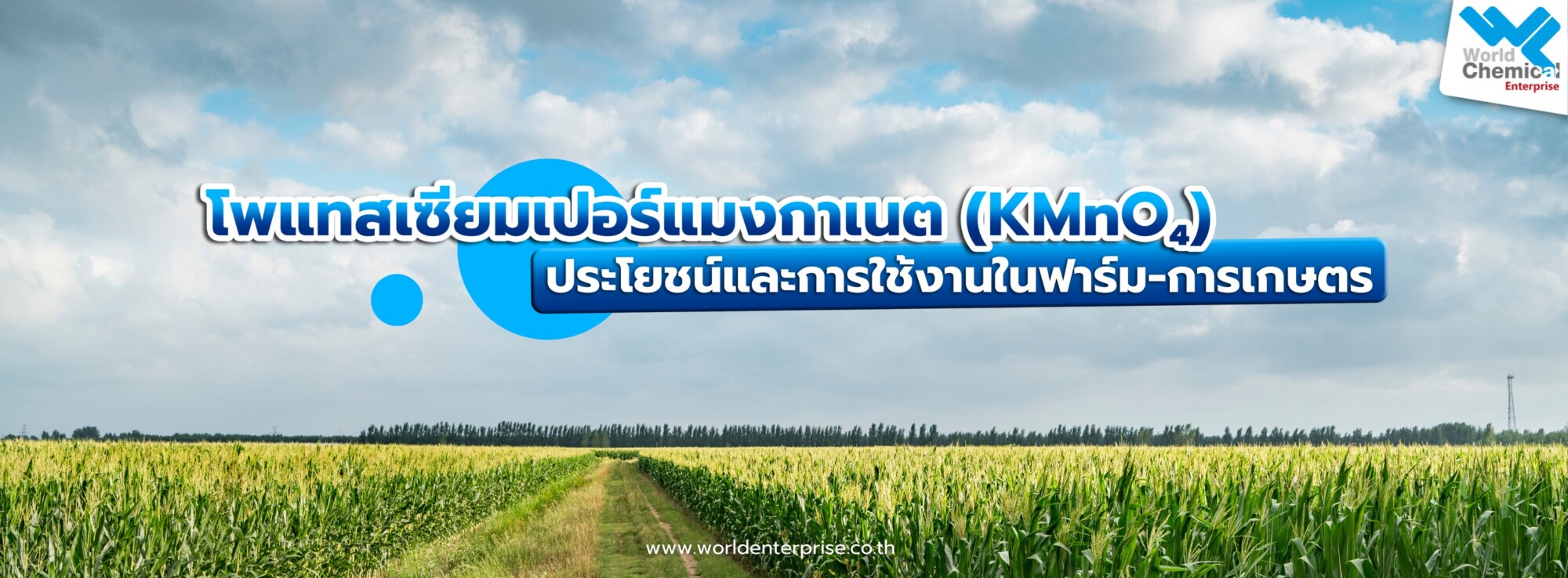 Home โพแทสเซียมเปอร์แมงกาเนต,เคมีภัณฑ์ลำพูน,ขายส่งเคมีภัณฑ์,เคมีภัณฑ์ภาคเหนือ,เคมีลำพูนเวิลด์เคมีคอลเอ็นเตอร์ไพร์ส,จำหน่ายเคมีภัณฑ์ครบวงจร,เคมีภัณฑ์ใกล้ฉัน,worldchemical,เวิลด์ลำพูน,worldenterprise